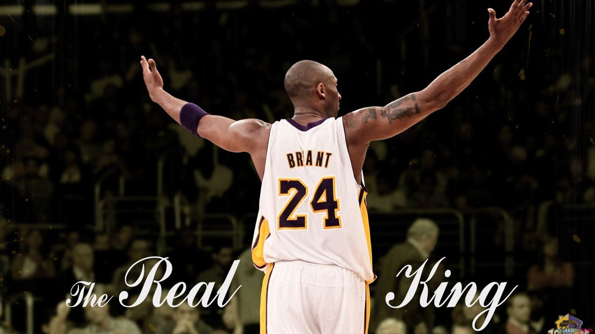 体育界大咖：台球赛事引发业内关注，台球运动员排名前十名