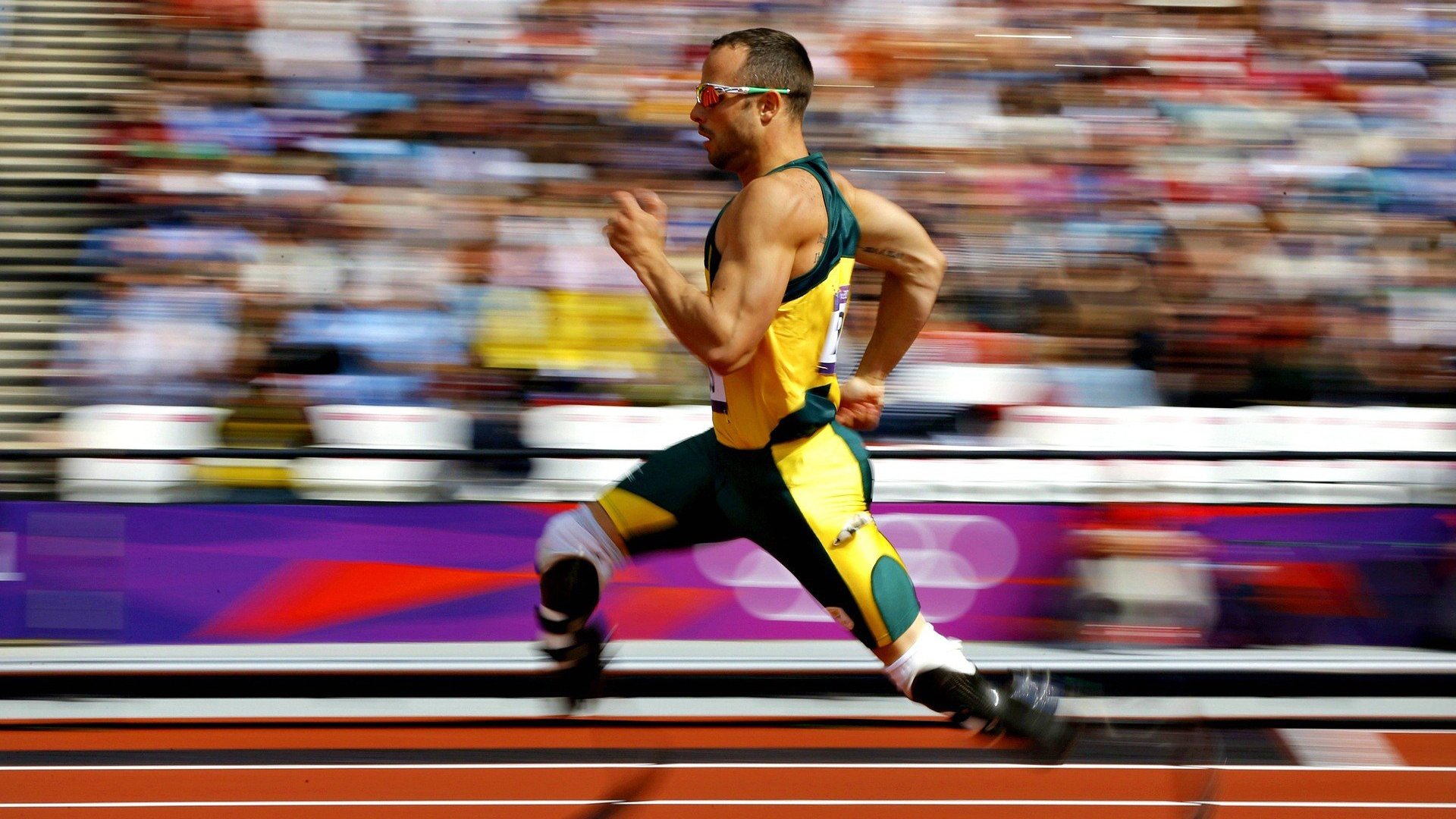 纵横联盟：那些年我们追过的经典对决回顾，纵横联手